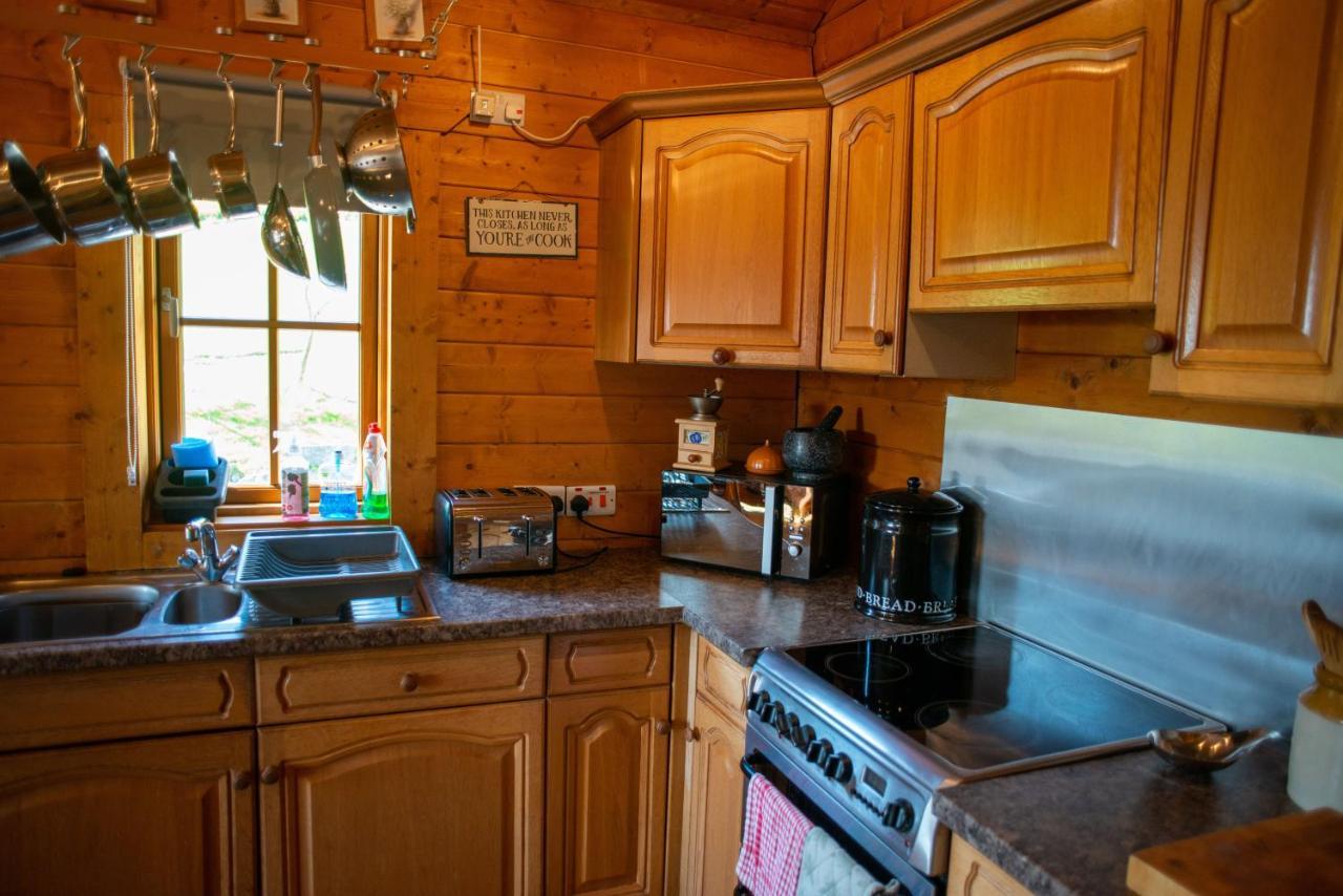 George Cabin - Log Cabin In Wales With Hot Tub Newtown  Exterior photo